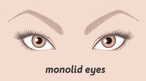 Monolid Eyelid Shape