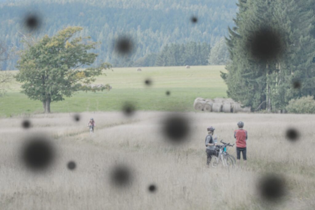 Diabetic Retinopathy: What Are the Symptoms and Risks? 4 Spots floating in the vision and a blurred vision caused by high blood sugar levels damaging the back of the eye retina showing a sign of