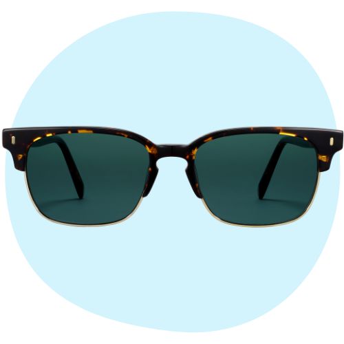 The Best Clubmaster-Style Sunglasses for Men & Women 18 Acuvue Oasys 1-Day with HydraLuxe