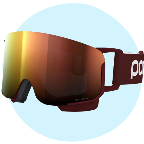 8 Best Ski Goggles When Hitting the Slopes in 2024 30 Backcountry Nexal Clarity Goggle