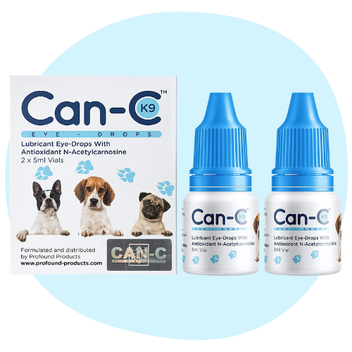 Eye Drops for Dogs: Types, How to Apply & Alternatives 10 can c