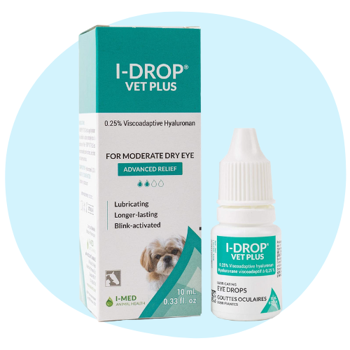 Eye Drops for Dogs: Types, How to Apply & Alternatives 8 i drop vet